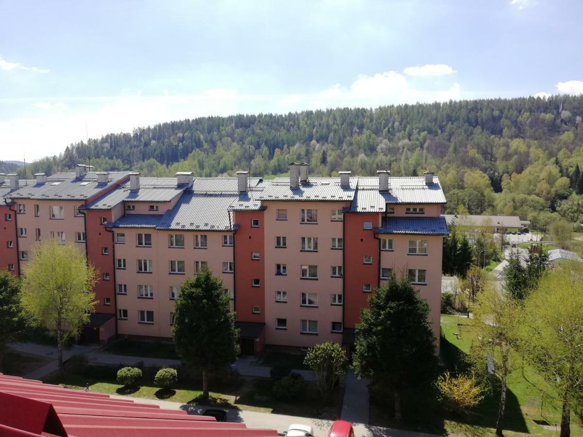 Apartamenty Bieszczadzki Aniol Ustrzyki Dolne Exteriör bild